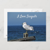 I Liebe Seagulls Postkarte (Vorne/Hinten)
