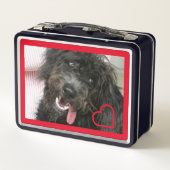 I Liebe Shepadoodles Metall Brotdose (Rückseite)