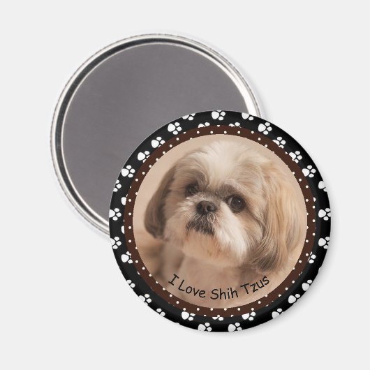 I Liebe Shih Tzus Magnet (Vorderseite/Rückseite)