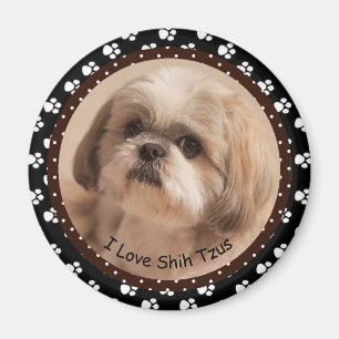 I Liebe Shih Tzus Magnet