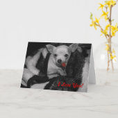 I Liebe Sie! Karte (Gelbe Blume)