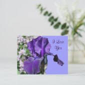 I Liebe Sie Lila Iris Blume Foto Postkarte (Stehend Vorderseite)