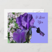 I Liebe Sie Lila Iris Blume Foto Postkarte (Vorne/Hinten)