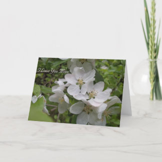 I Liebe Sie Mama Karte