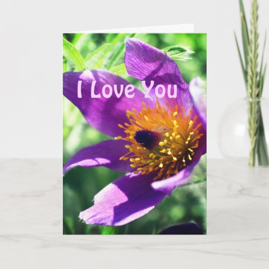I Liebe Sie Pasque Blume Personalisiert Karte (Vorderseite)