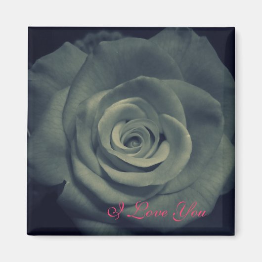 I Liebe Sie- Rose- Magnet (Vorne)