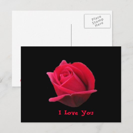 I Liebe Sie Rose Postkarte (Vorne/Hinten)