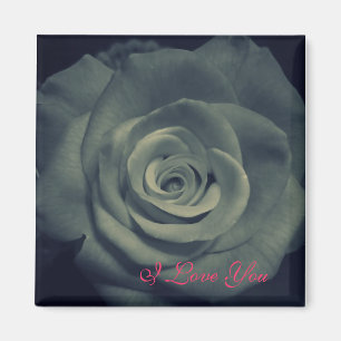 I Liebe Sie Rosen-Magnet Magnet