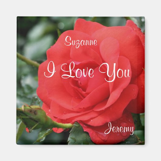 I Liebe Sie Rote Rose Blume Personalisiert Magnet (Vorne)
