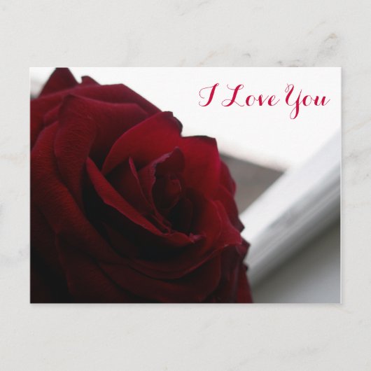 I Liebe Sie (Rote Rose) Postkarte (Vorderseite)