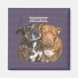 I Liebe Sie Snuggling Staffys Magnet