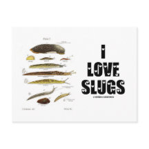 I Liebe Slugs (Naturalist / Natur)