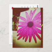 I Liebe Snailmail - Sonnenblume Postkarte (Vorne/Hinten)