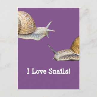 I Liebe Snails Design Postkarte