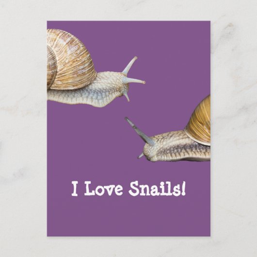 I Liebe Snails Design Postkarte (Vorderseite)