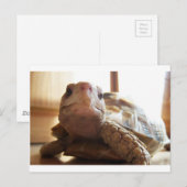 I Liebe Sonnenbaden Postkarte (Vorne/Hinten)