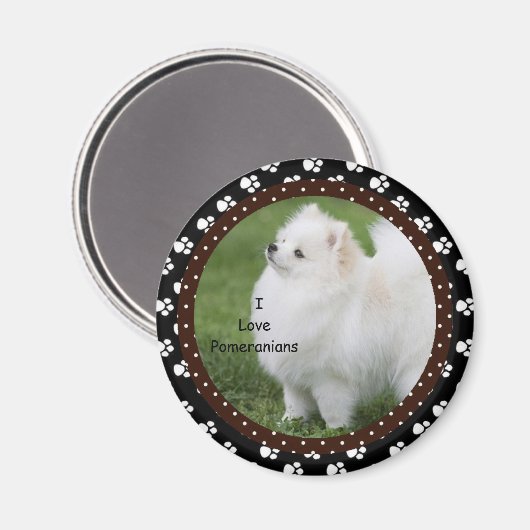 I Liebe Spitz Dog Magnet 2 (Vorderseite/Rückseite)