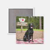 I Liebe St. Andrews Staat Bark Magnet (Vorderseite/Rückseite)