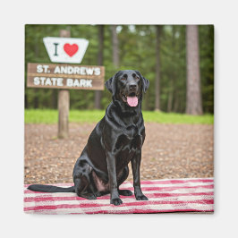 I Liebe St. Andrews Staat Bark Magnet