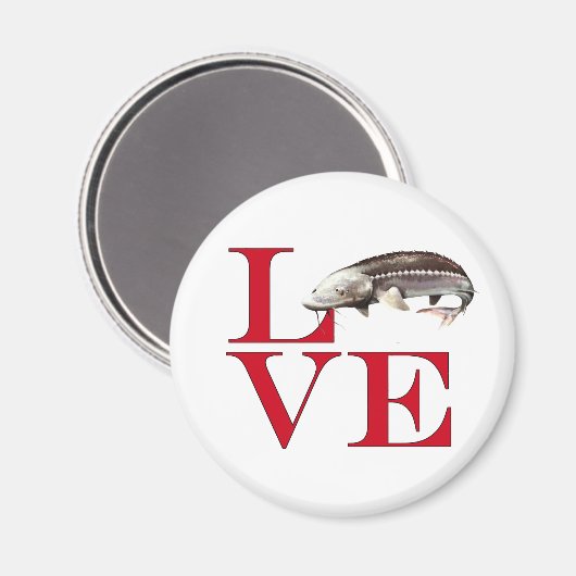I Liebe Sturgeon Magnet (Vorderseite/Rückseite)