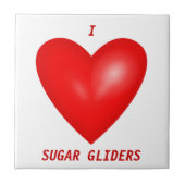 I Liebe Sugar Gliders Fliese (Vorderseite)