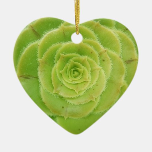 I Liebe Sukkulationen Keramik Ornament (Vorne)
