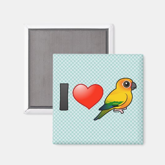 I Liebe Sun Conures Magnet (Vorderseite/Rückseite)