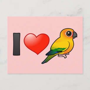 I Liebe Sun Conures Postkarte