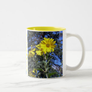 I LIEBE SUNFLOWERS TASSE PICS x2