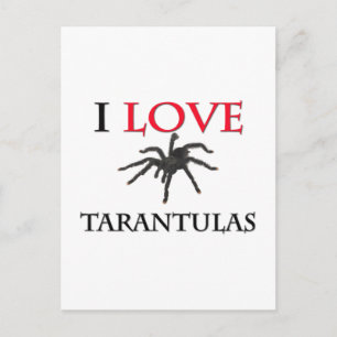 I Liebe Tarantulas Postkarte