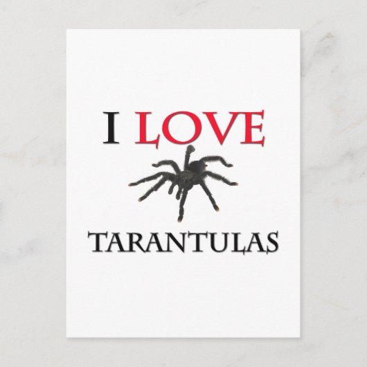 I Liebe Tarantulas Postkarte (Vorderseite)