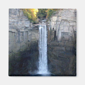 I Liebe Taughannock Falls Magnet