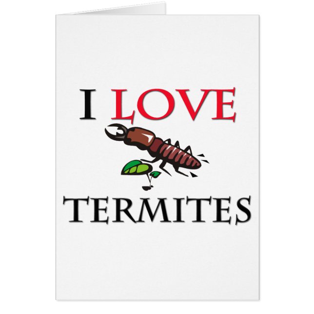 I Liebe-Termiten (Vorne)