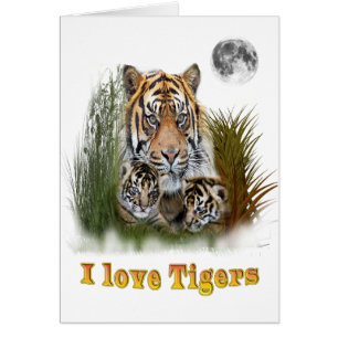 I Liebe Tigers