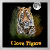 I Liebe Tigers Poster (Vorne)