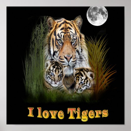 I Liebe Tigers Poster (Vorne)