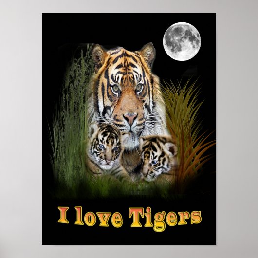 I Liebe Tigers Poster (Vorne)