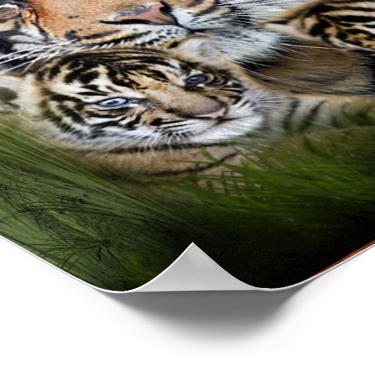 I Liebe Tigers Poster (Ecke)