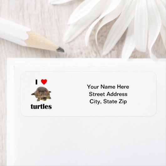 I Liebe Turtles (Insitu)