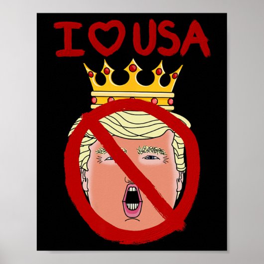 I Liebe USA Anti Trump 2024 Poster (Vorne)