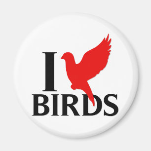 I Liebe-Vögel Magnet
