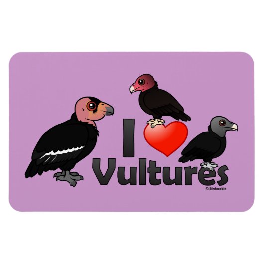 I Liebe Vultures (Nordamerika) Magnet (Horizontal)