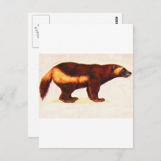 I Liebe Wolverine Postkarte (Vorne/Hinten)