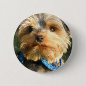 I Liebe Yorkies Button (Vorderseite)