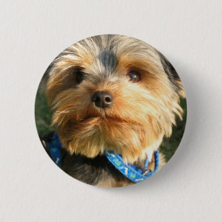 I Liebe Yorkies Button