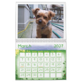 I Liebe Yorkies! Kalender (Mär 2027)