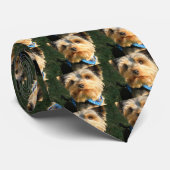 I Liebe Yorkies Krawatte (Gerollt)
