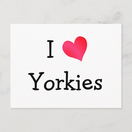 I Liebe Yorkies Postkarte (Vorderseite)