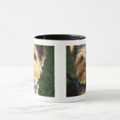 I Liebe Yorkies Tasse (Zentrum)