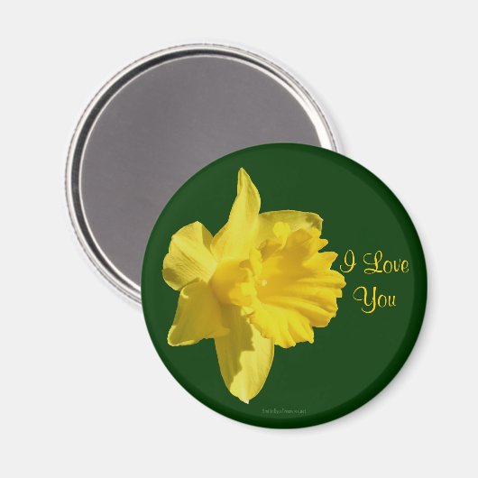 I Liebe You Daffodil Blume Foto Magnet (Vorderseite/Rückseite)